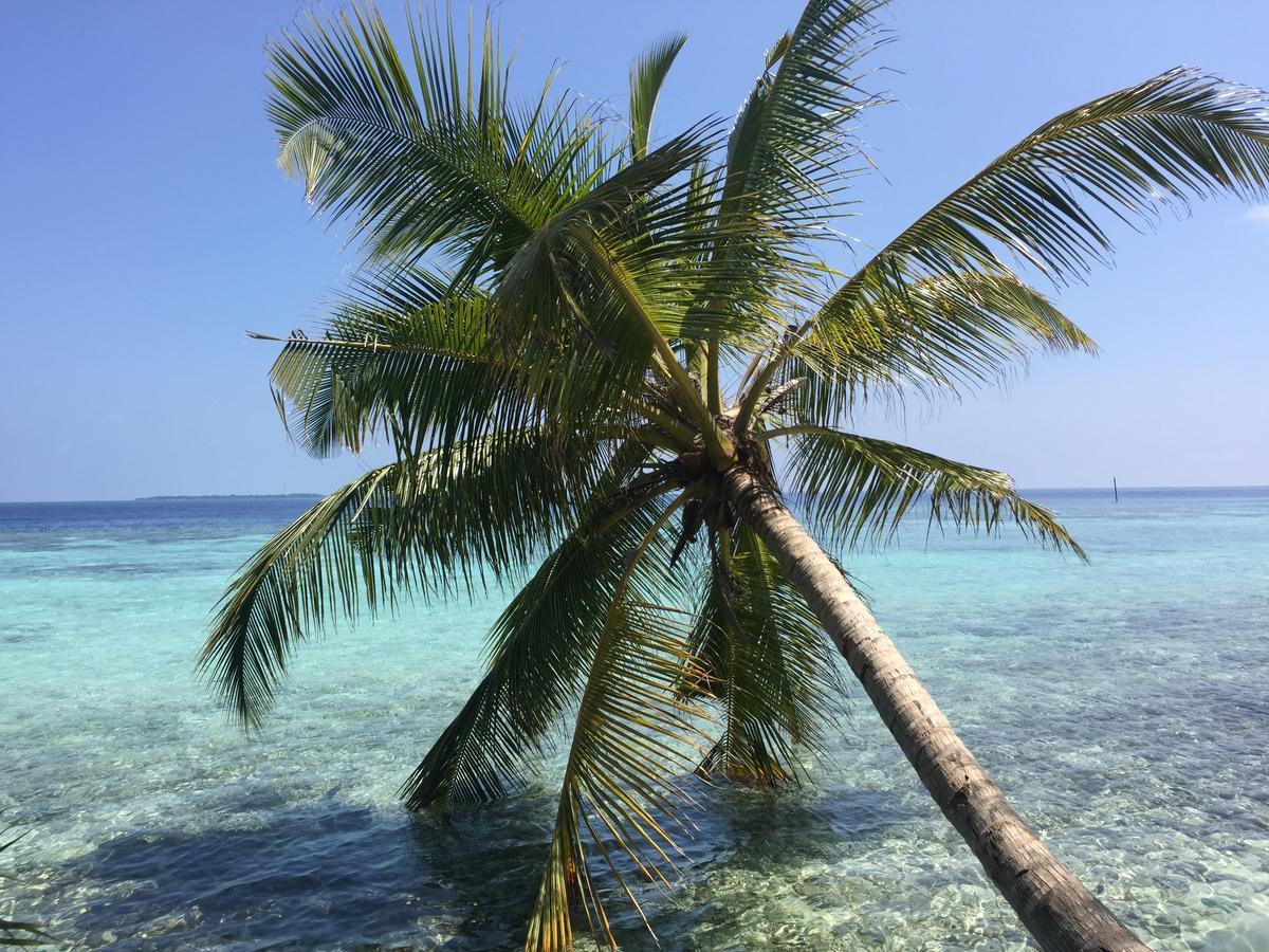 Noomuraka Inn Omadhoo Buitenkant foto